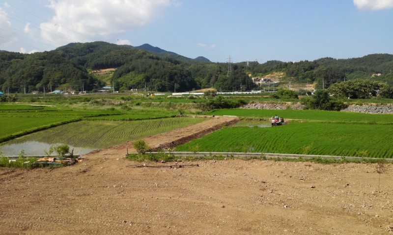 윤모내기.jpg
