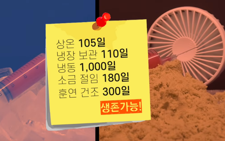 감염시생존기일.PNG