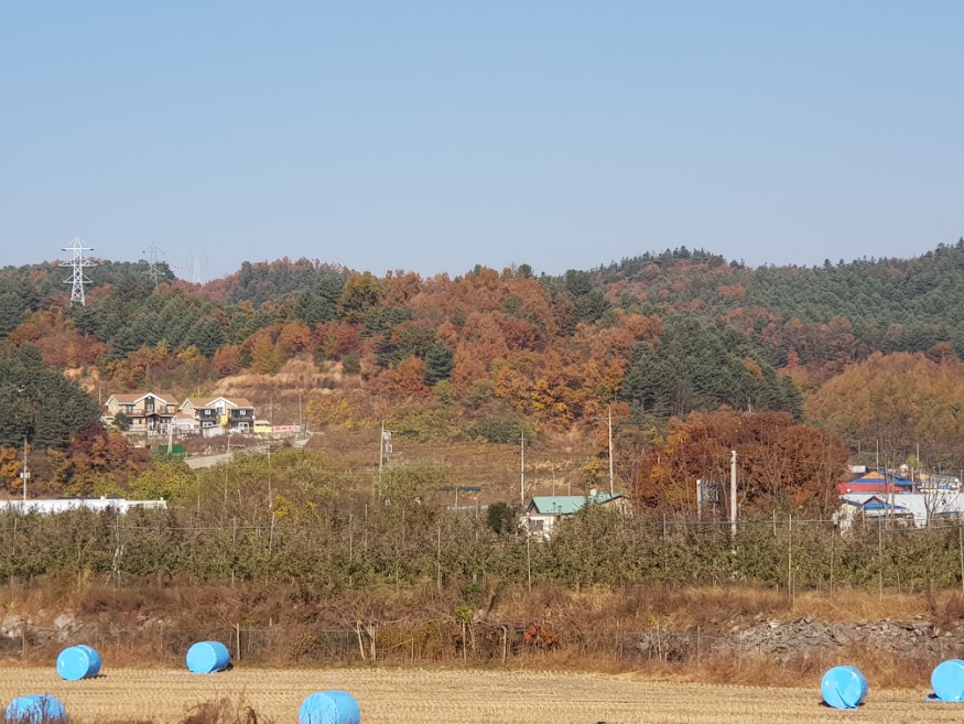 20191107_143909.jpg