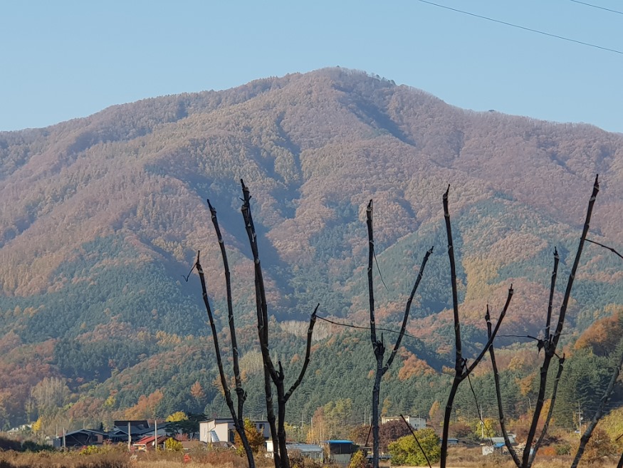 20191107_143924.jpg