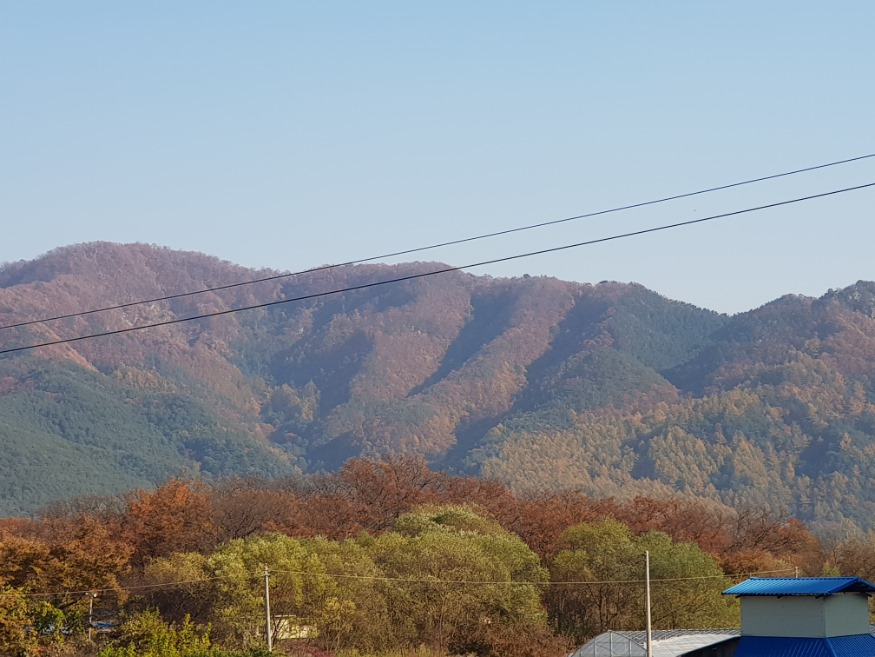 20191107_143849.jpg