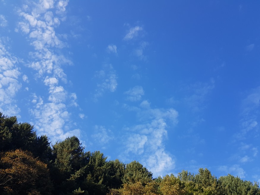20191017_150648.jpg