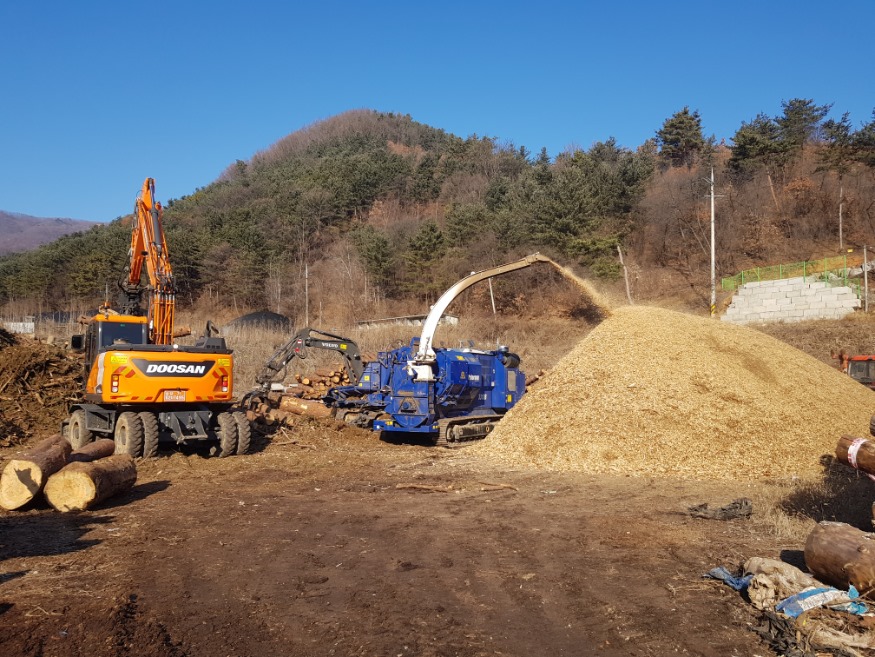 소나무재선충병 피해목 산업적이용활성화 추진.jpg