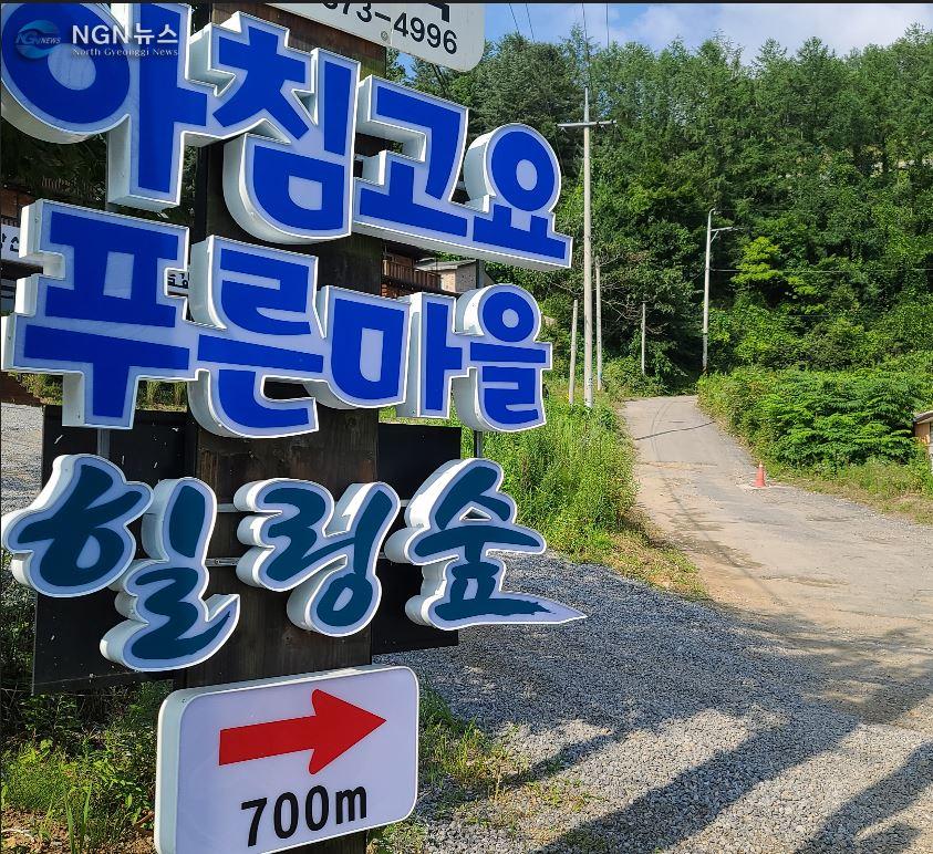 힐링 숲.JPG