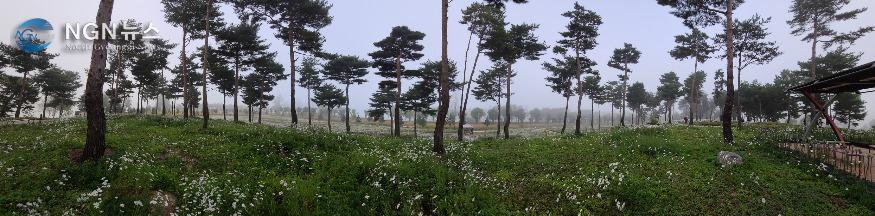 20201008_080347.jpg