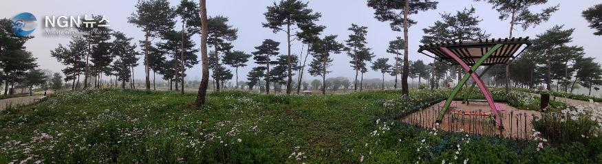20201008_080232.jpg
