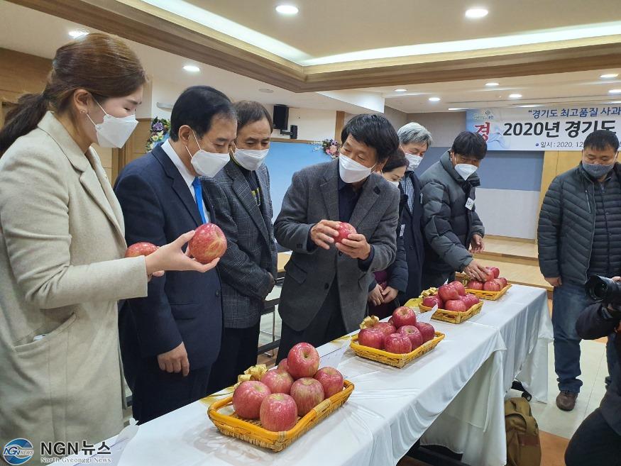 3-1. 경기도 사과품평회 수상 기념식.jpg