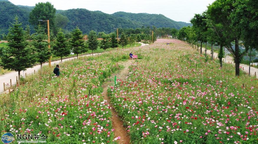자라섬남도.jpg