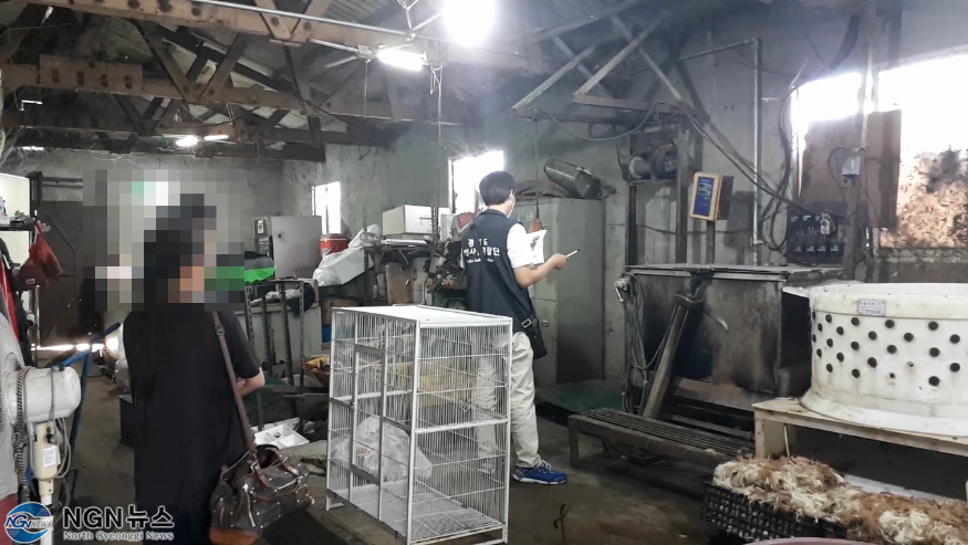 1.특사경+단속현장.png