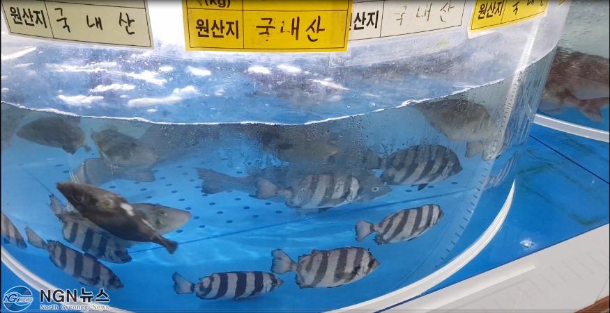 관련+사진(2).jpg