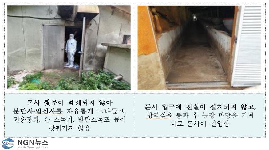 돈사.JPG