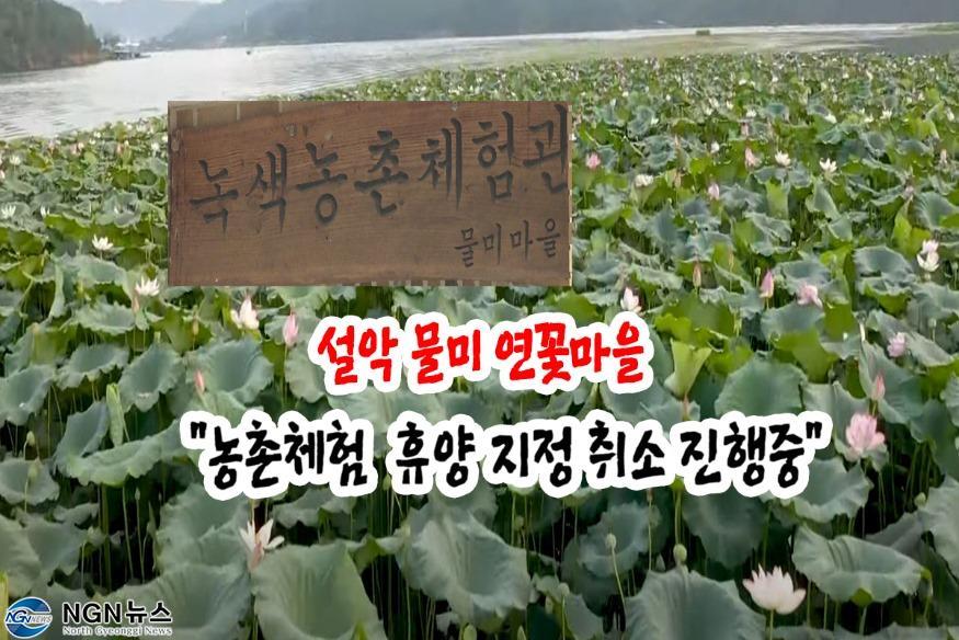 물미.jpg